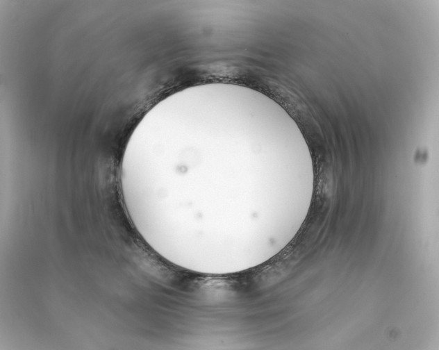 X0000090460518200708102114