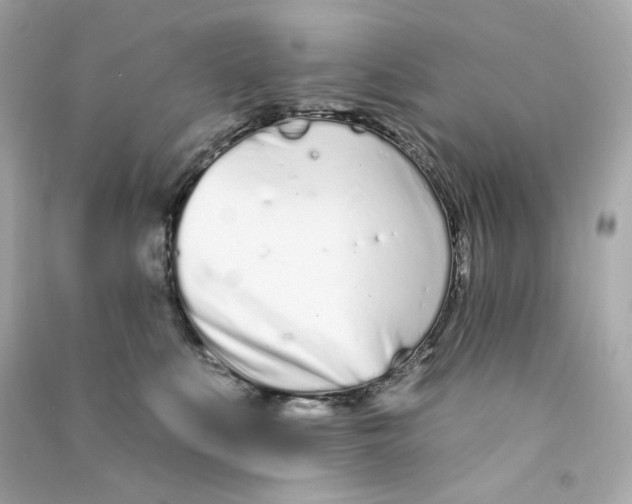 X0000090460519200708102114