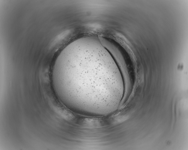 X0000090460520200708102114