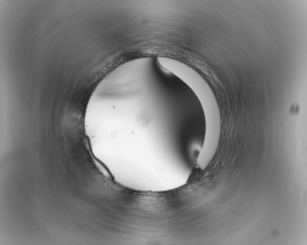 X0000090460521200708102114