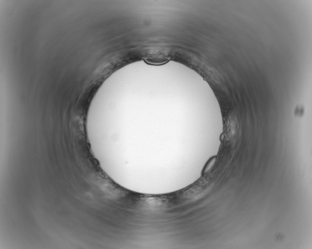 X0000090460522200708102114