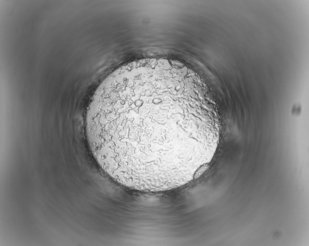 X0000090460523200708102114