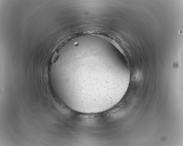 X0000090460524200708102114