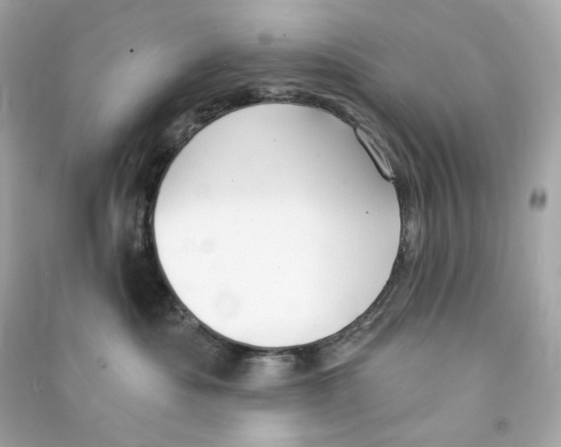 X0000090460525200708102114