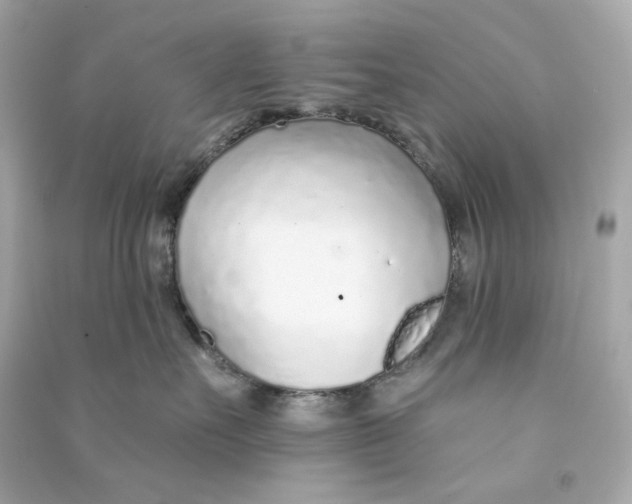 X0000090460527200708102114