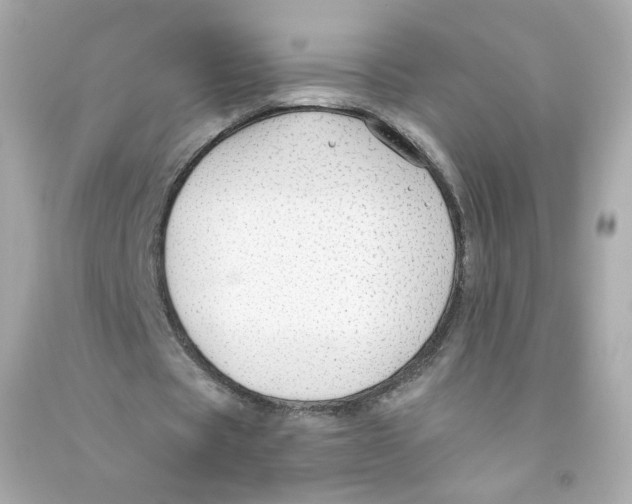 X0000090460529200708102113