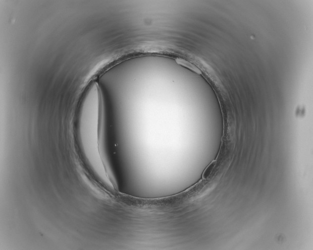 X0000090460530200708102113