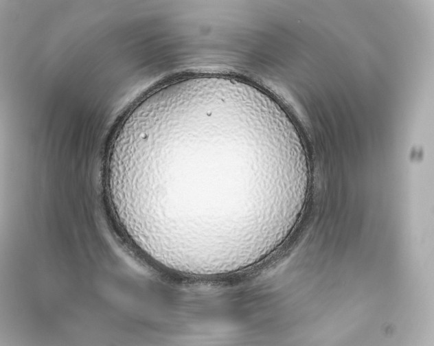 X0000090460533200708102113