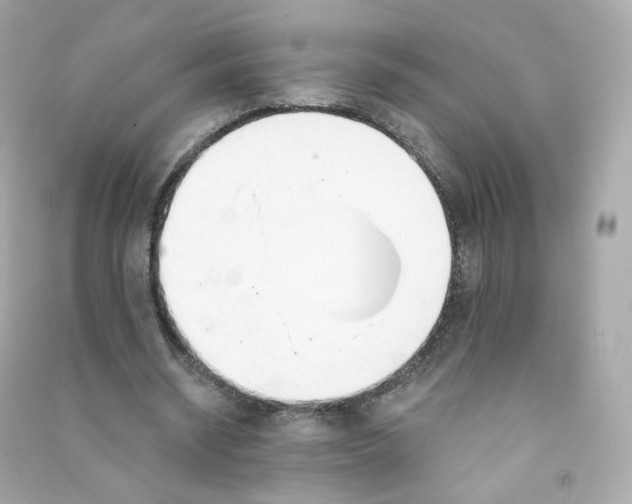 X0000090460534200708102113