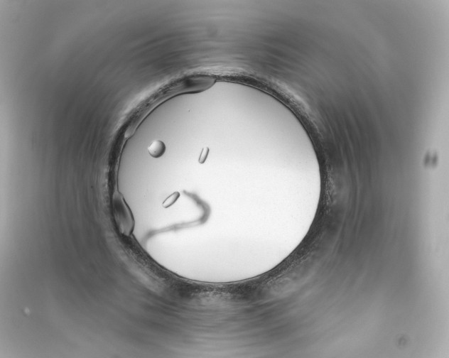 X0000090460535200708102113
