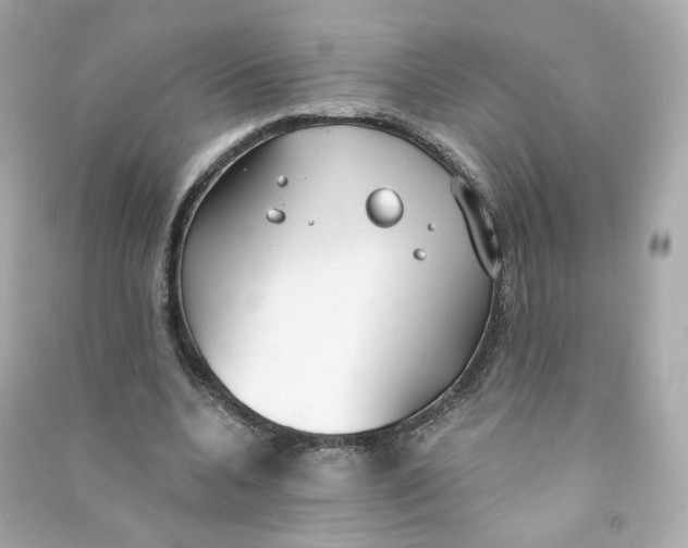 X0000090460536200708102113