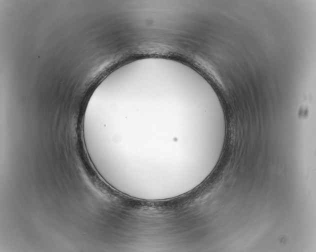 X0000090460538200708102113
