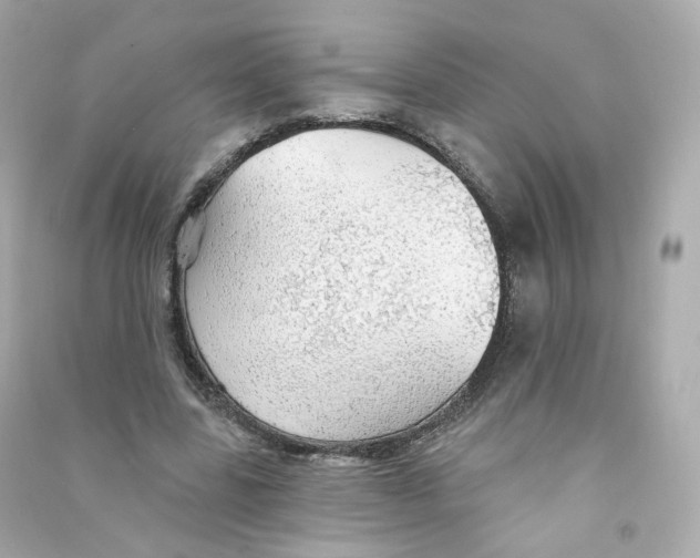 X0000090460539200708102113