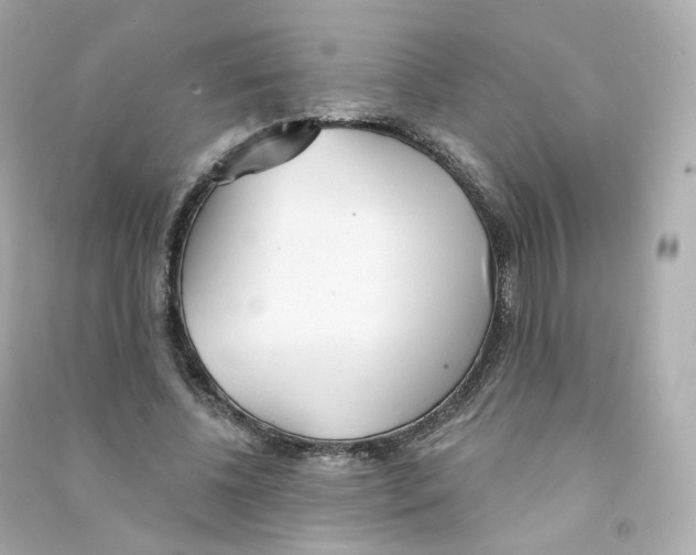 X0000090460540200708102113