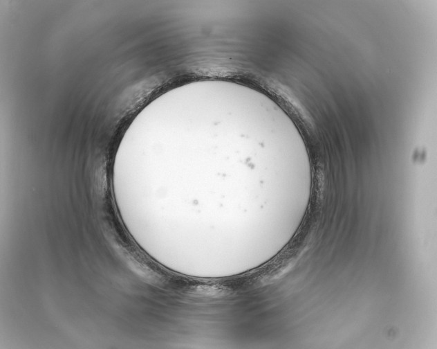 X0000090460541200708102113