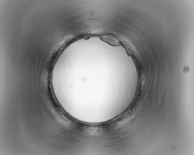 X0000090460542200708102113