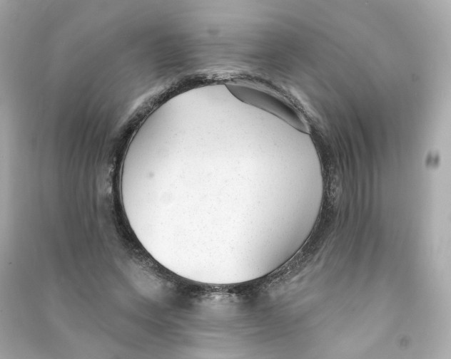 X0000090460543200708102113