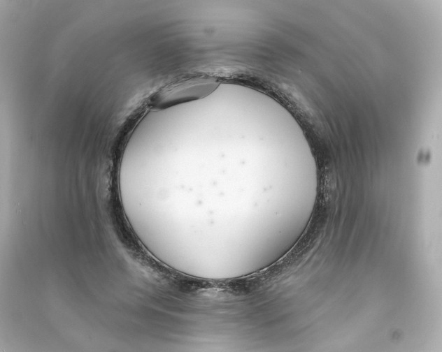 X0000090460544200708102113