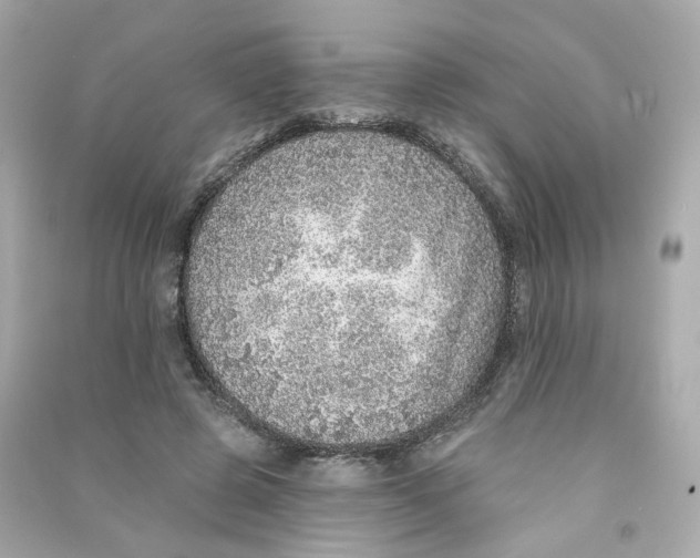X0000090460545200708102113