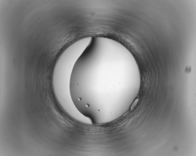 X0000090460546200708102113