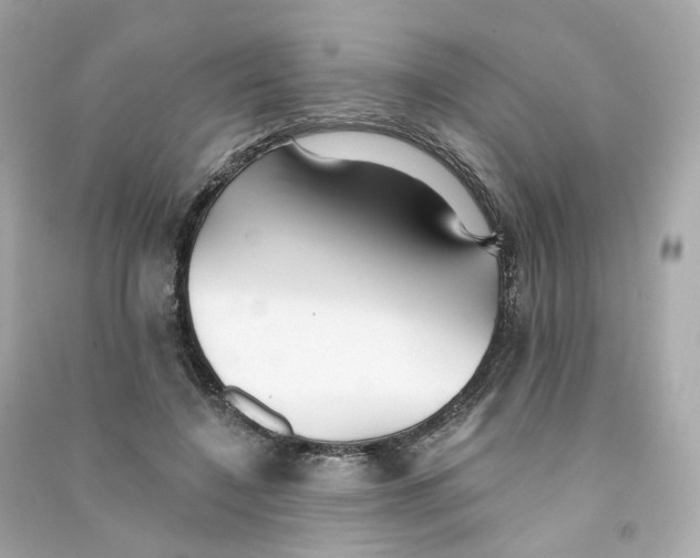 X0000090460548200708102113