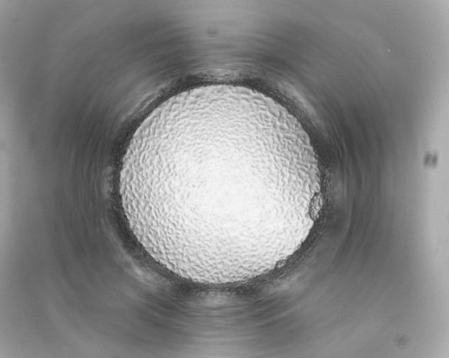 X0000090460549200708102113