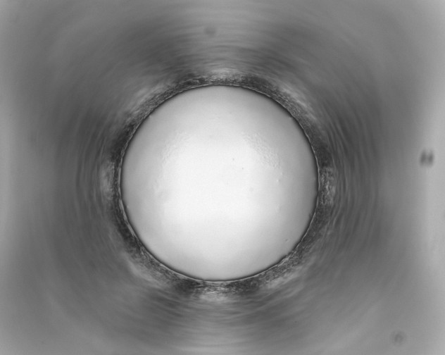 X0000090460550200708102113