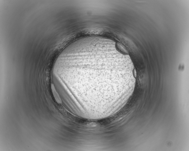 X0000090460551200708102113