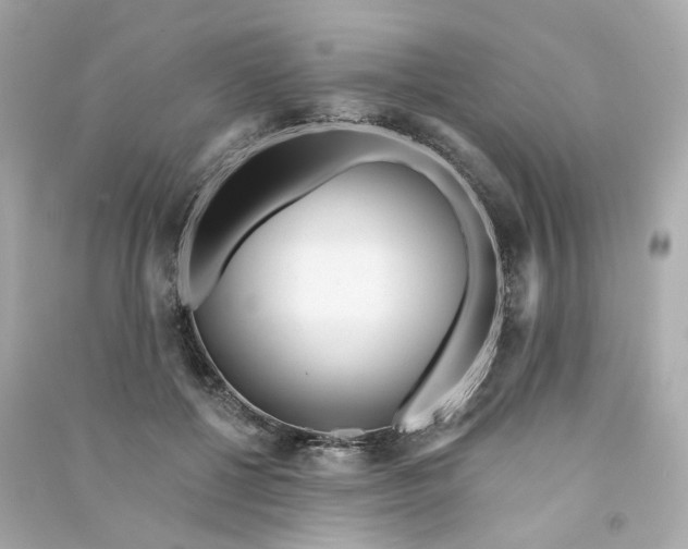X0000090460552200708102113