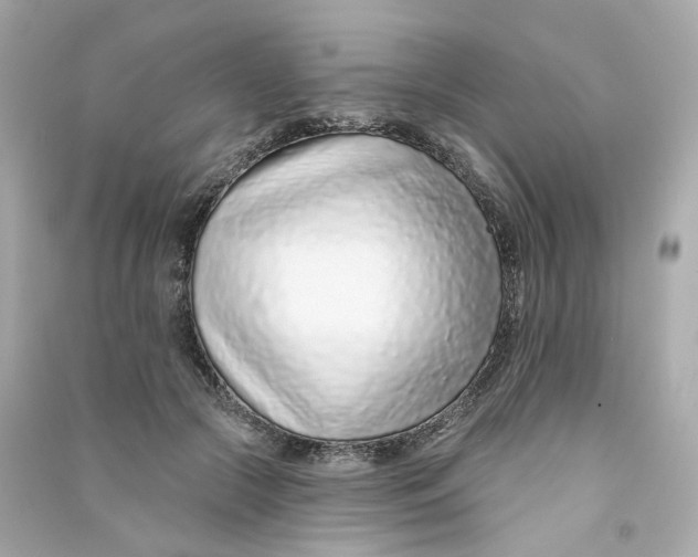 X0000090460553200708102113