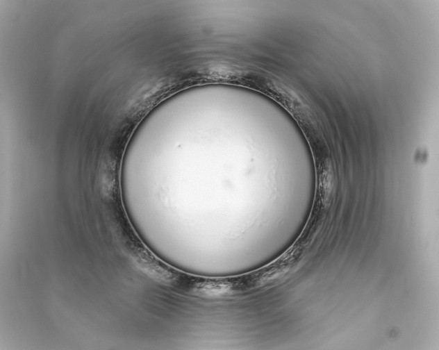 X0000090460554200708102113