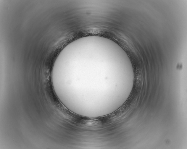 X0000090460555200708102113