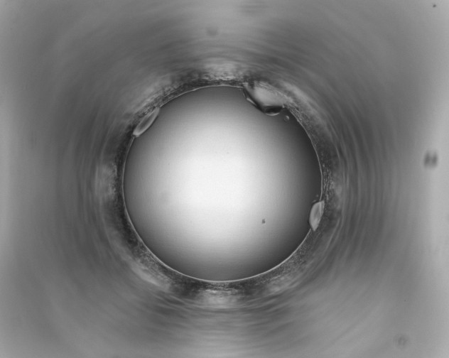X0000090460556200708102113