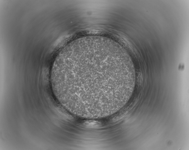 X0000090460557200708102113