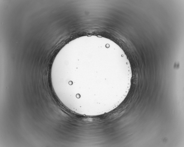 X0000090460558200708102113