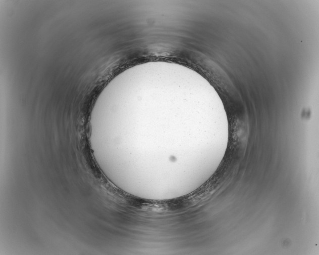 X0000090460559200708102114