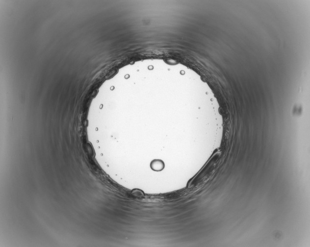 X0000090460560200708102114