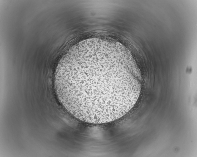 X0000090460561200708102114