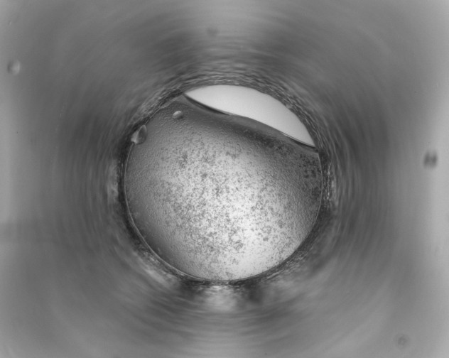 X0000090460562200708102114
