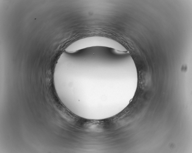 X0000090460563200708102114