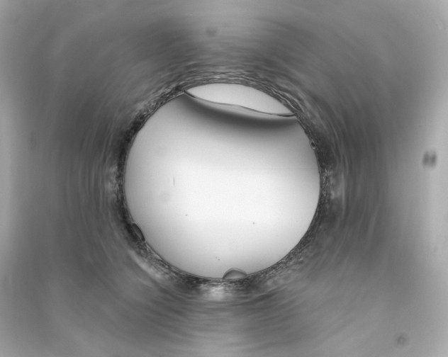 X0000090460564200708102114