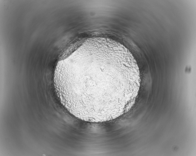 X0000090460565200708102114