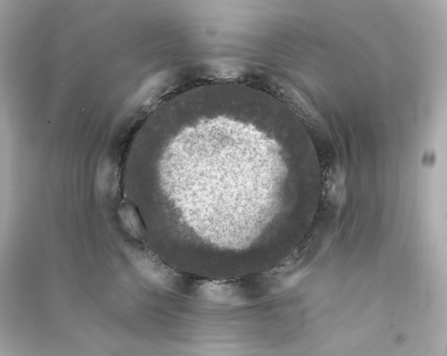 X0000090460568200708102114