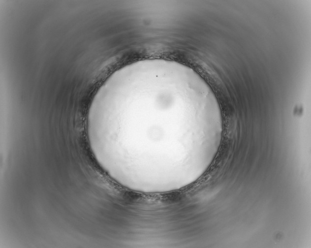 X0000090460569200708102114