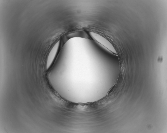 X0000090460570200708102114