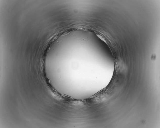 X0000090460572200708102114