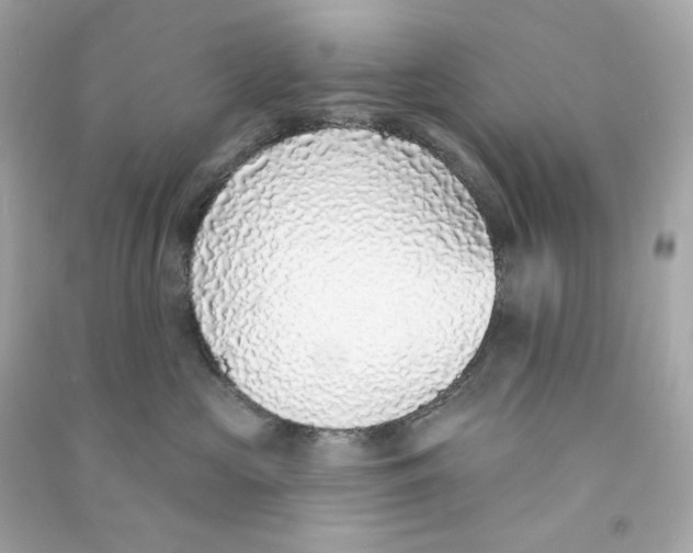 X0000090460573200708102114