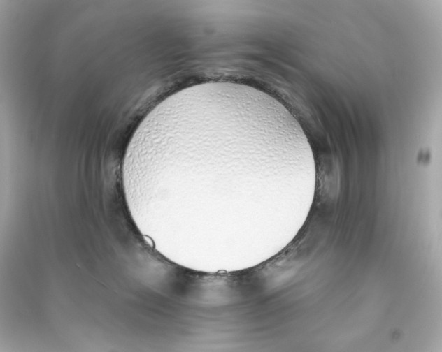 X0000090460574200708102114
