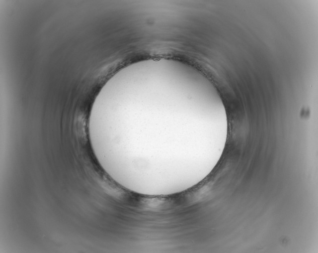 X0000090460575200708102114