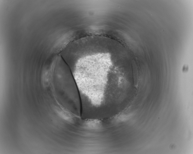 X0000090460576200708102114